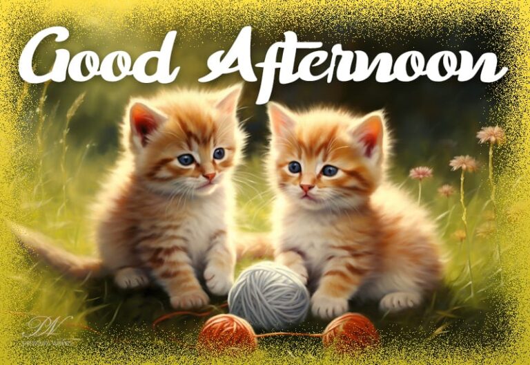 Good Afternoon Wishes