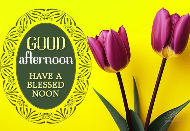Good Afternoon Wishes