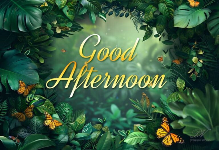 Good Afternoon Wishes