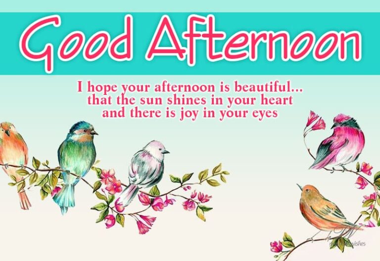 Good Afternoon Wishes