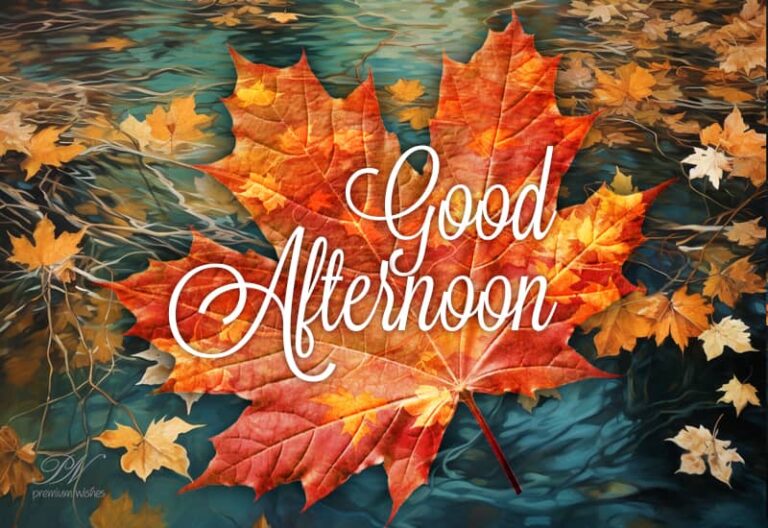 Good Afternoon Wishes