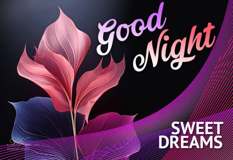 Good Night Wishes