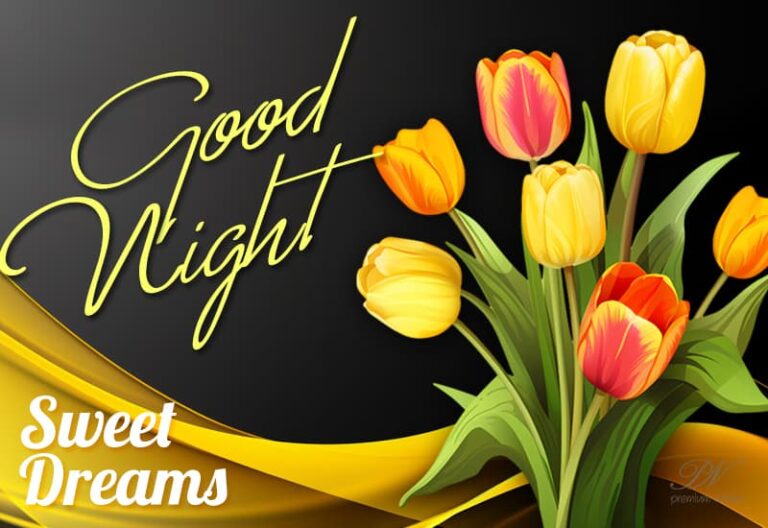 Good Night Wishes