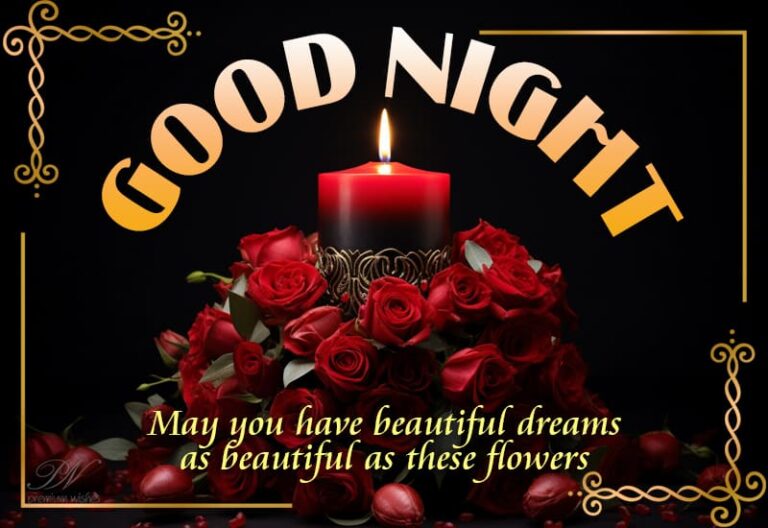 Good Night Wishes