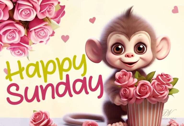 Happy Sunday – relax and have fun, wish you a superb day