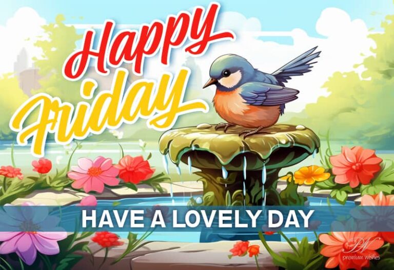 Happy Friday – Have a lovely weekend ahead