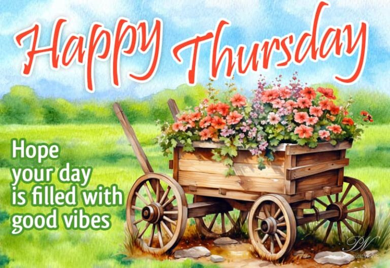 Happy Thursday – Hope your day is filled with good vibes