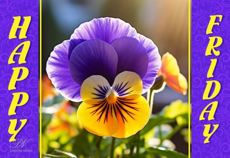 Happy Friday – wishing you a peaceful weekend