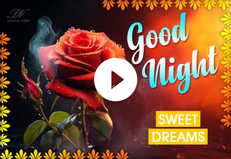 Good Night with Red Roses – Red Roses Whatsapp Video