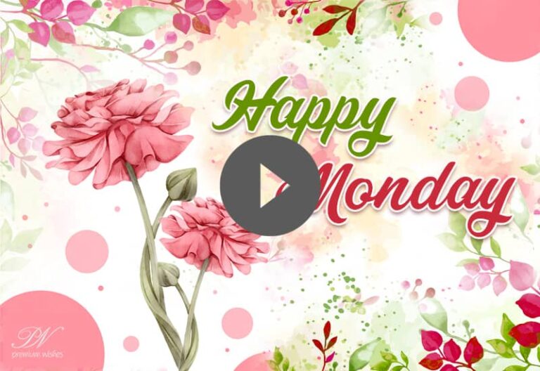 Happy Monday Whatsapp Status – Happy Monday Beautiful Flowers Video