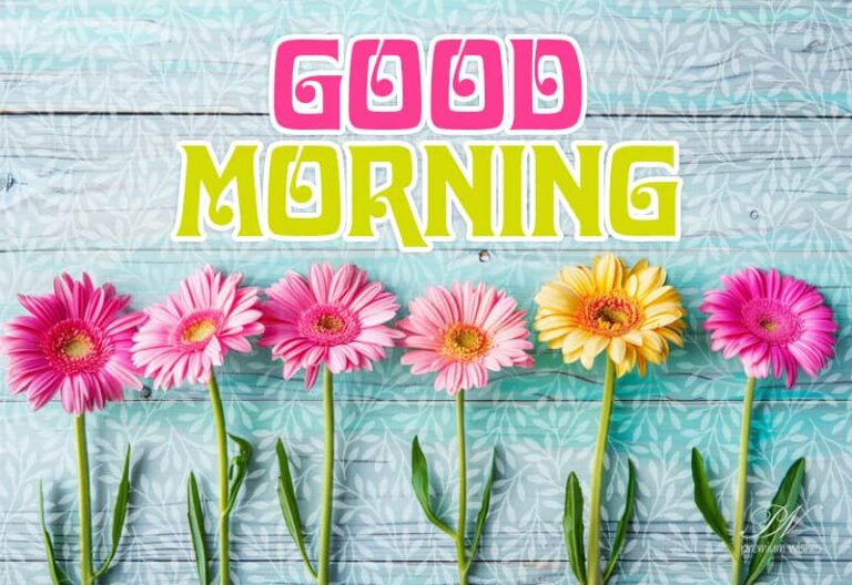 Good morning everyone! May today be your day, offering newer opportunities and many reasons to smile.