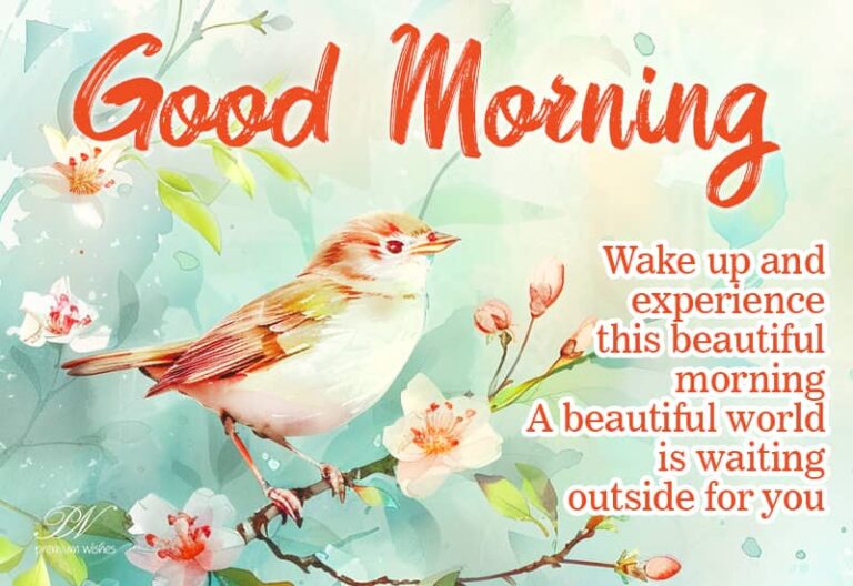 Good Morning – Wake up and experience this beautiful morning