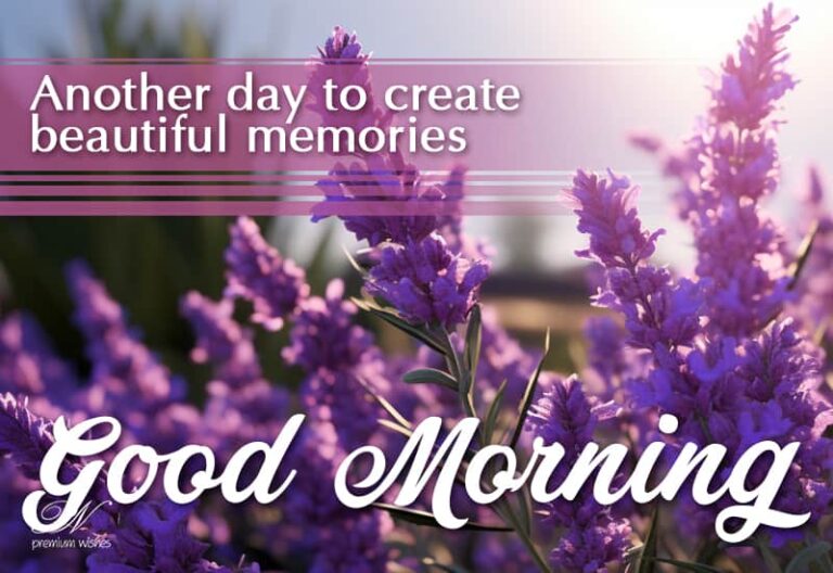 Good Morning – Another day to create beautiful memories
