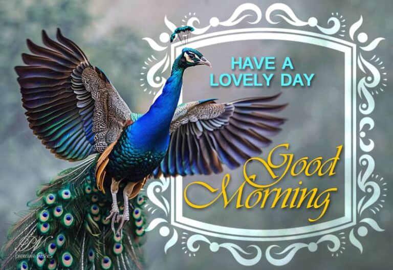 Good Morning – Have a lovely and fruitful day