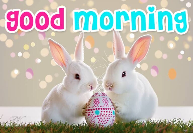 Good morning. Life is like a mirror: it will smile at you if you smile at it