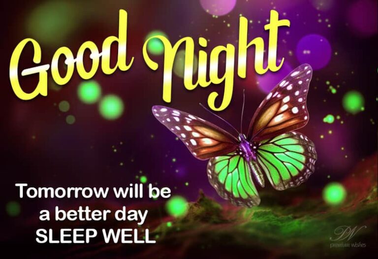 Good Night Wishes