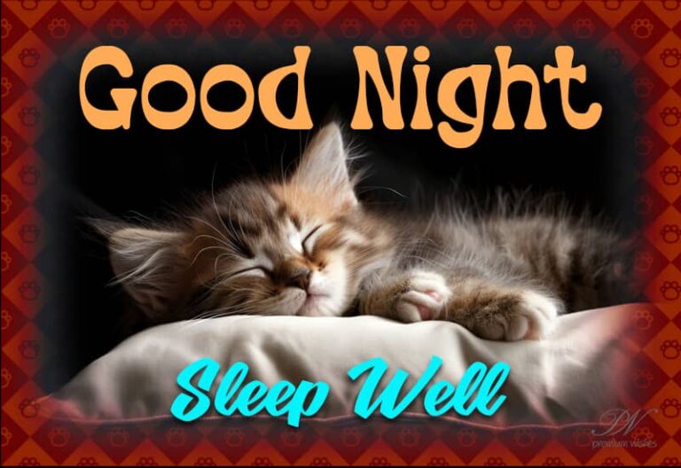 Good Night Wishes