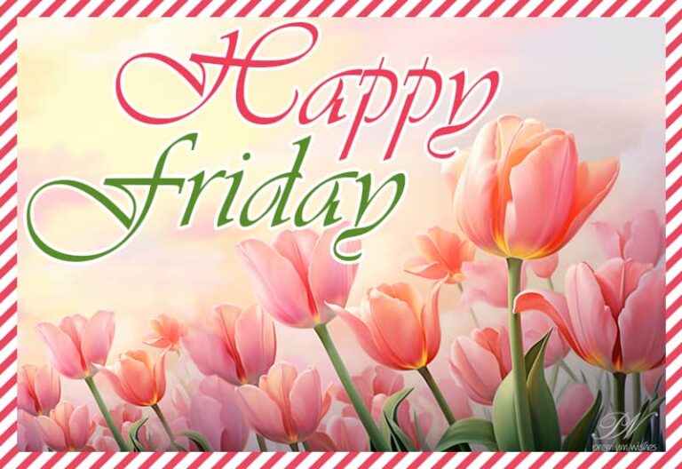 Have a fabulous Friday and an even more amazing weekend ahead!