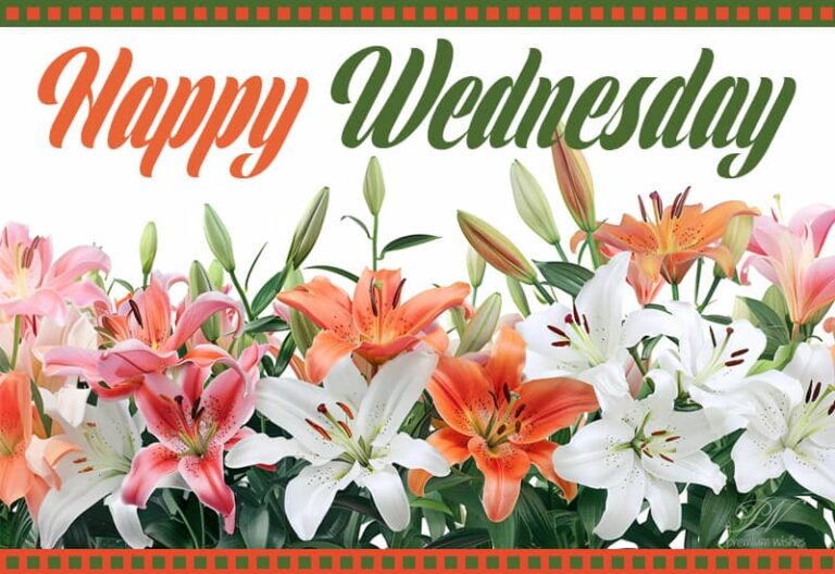 May your Wednesday be filled with laughter and happiness