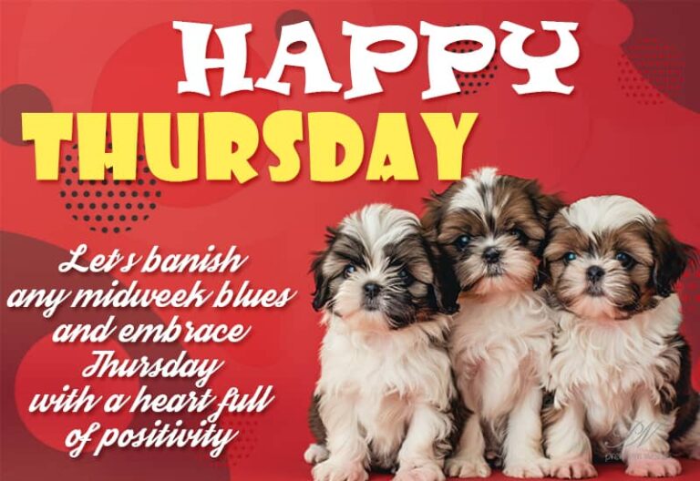 Happy Thursday – Let’s vanish any midweek blues and embrace Thursday with a heart full of positivity