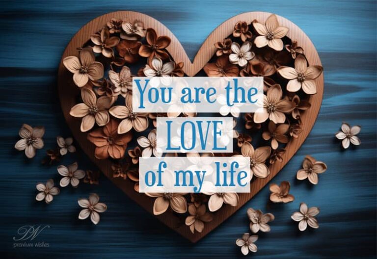 You are the love of my life