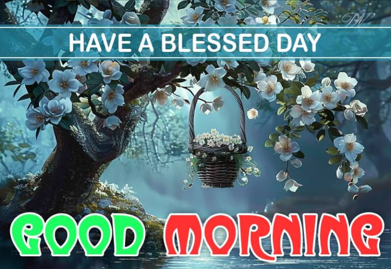 Good Morning – By God’s grace have a blessed day