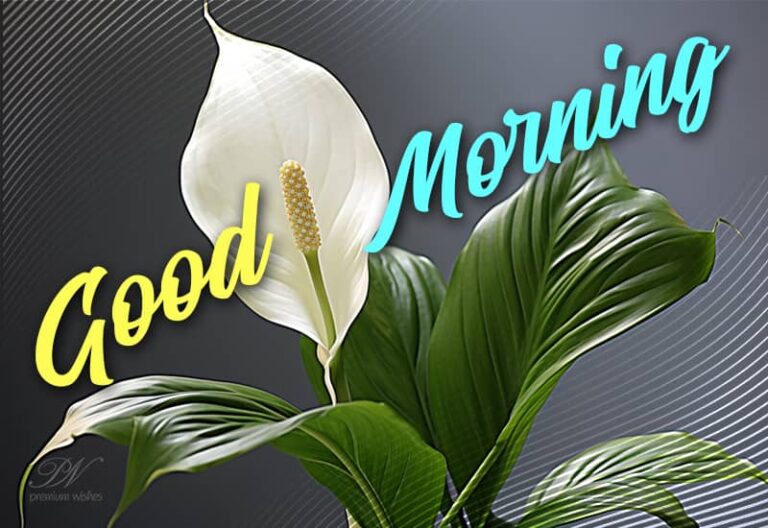 Good morning – Wake up and shine, the world awaits your greatness