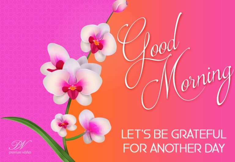 Good Morning – Let’s be grateful for another day