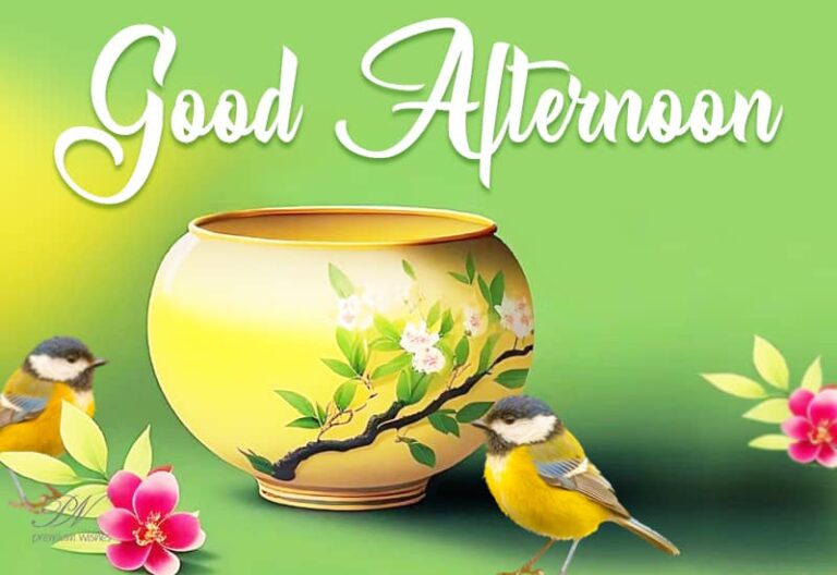 Good Afternoon Wishes
