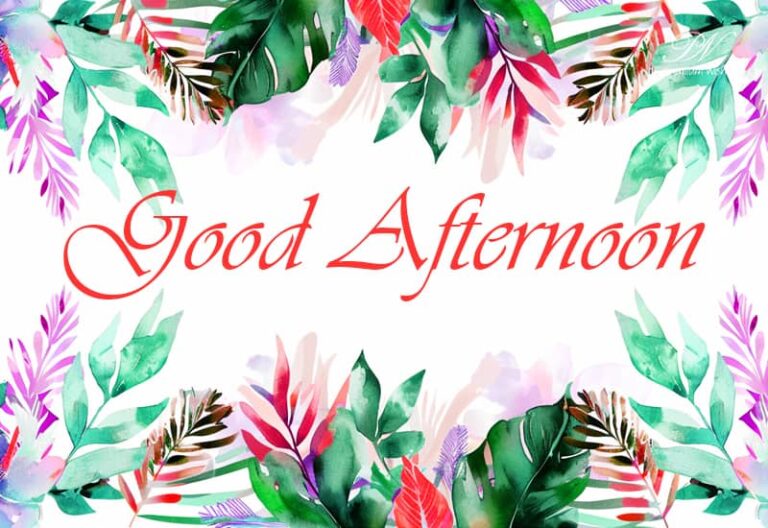Good Afternoon Wishes