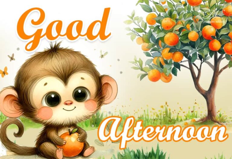 Good Afternoon Wishes