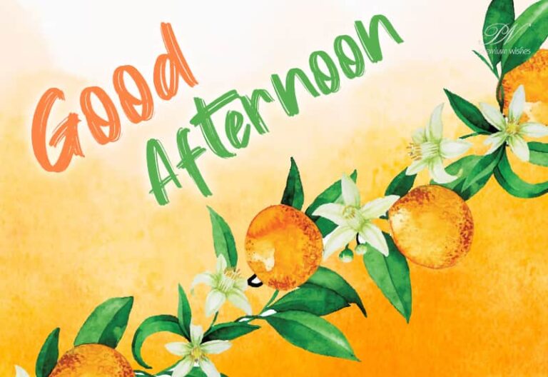 Good Afternoon Wishes