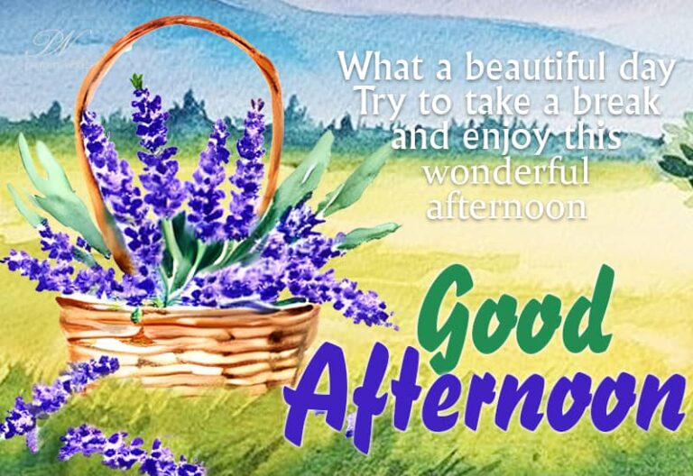 Good Afternoon Wishes
