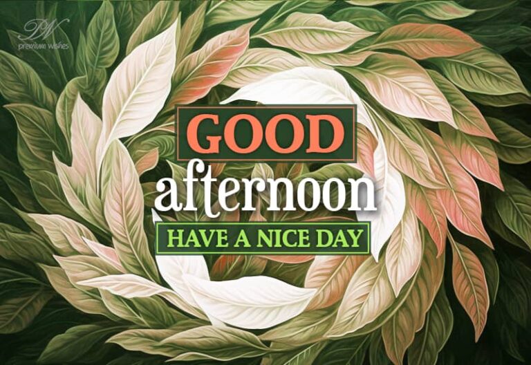Good Afternoon Wishes