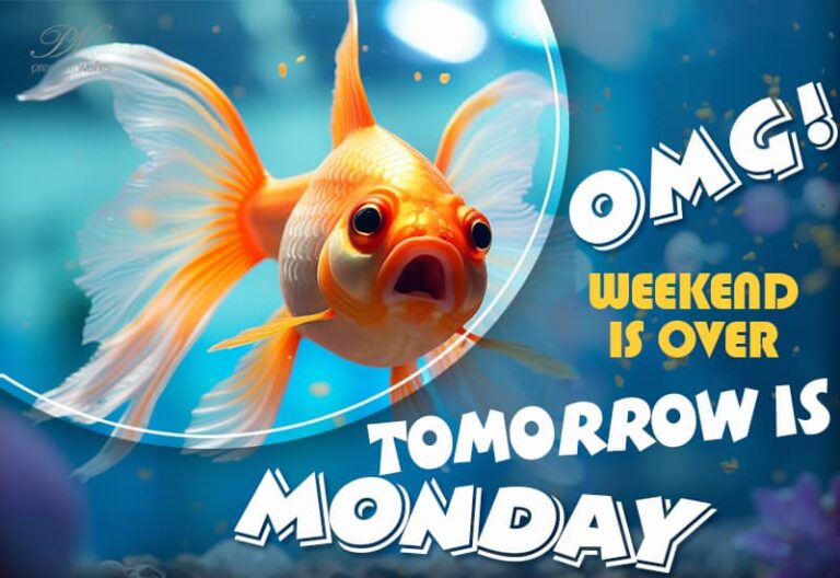 Weekend is over – Tomorrow is Monday