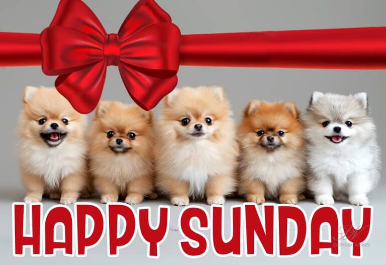 Let this Sunday be a day of rest and reflection. Take some time for yourself and rejuvenate