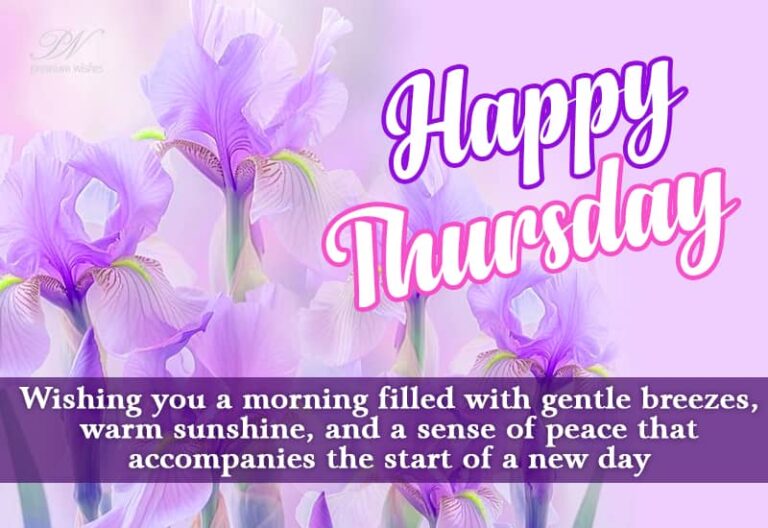 Happy Thursday – wishing you a morning filled with gentle breeze, warm sunshine and a sense of peace