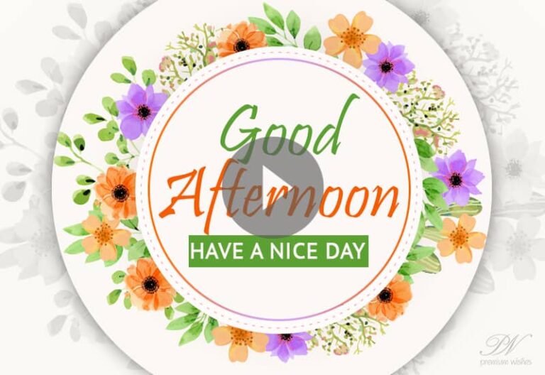 Good Afternoon Whatsapp Video – Good Afternoon Greetings