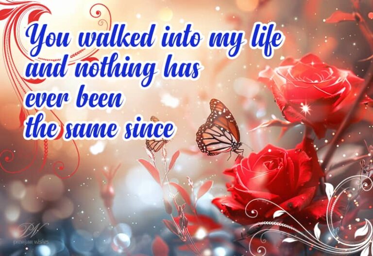 You walked into my life and nothing has ever been the same since