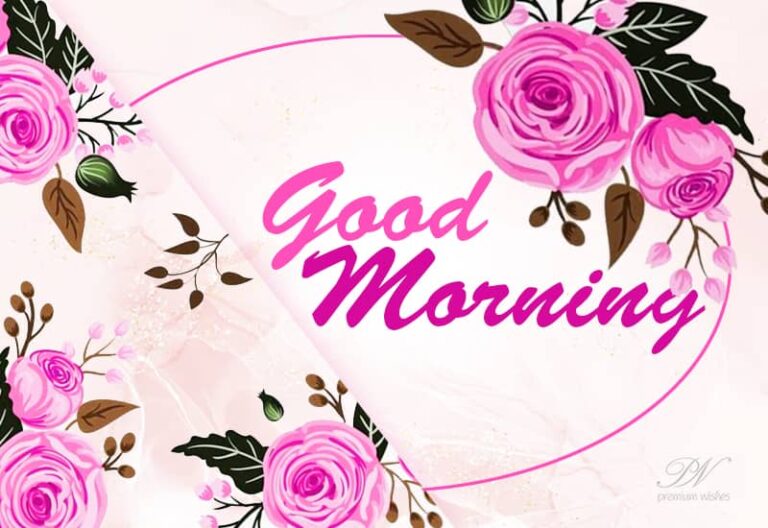 Good morning – May the sun shine brightly on your path today and always