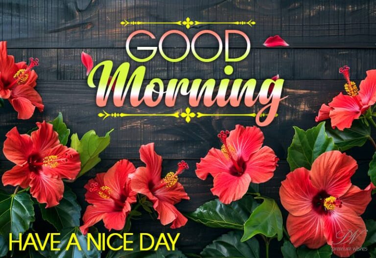 Sending you a gentle breeze of positivity and good vibes to kick start your morning. Have a fantastic day ahead