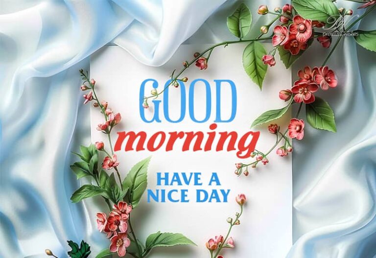 Good Morning Dear Buddy – Have a nice day friend