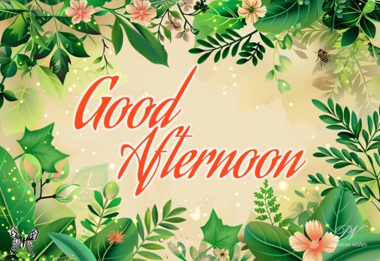 Good Afternoon Wishes