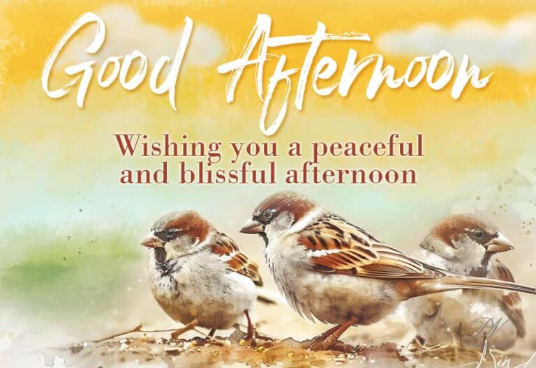 Good Afternoon Wishes