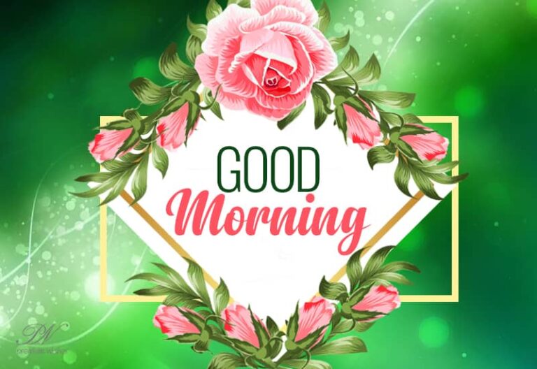 Good morning, May the day ahead bring you success, happiness, and infinite reasons to smile