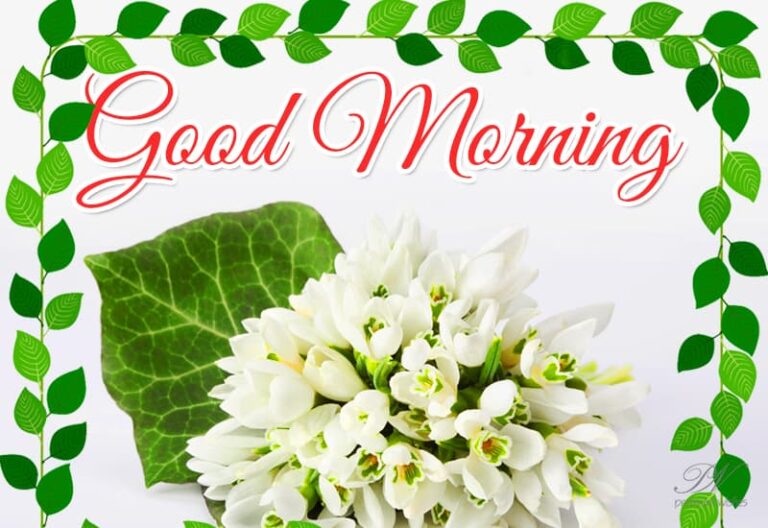 Sending you a gentle breeze of positivity and good vibes to kick start your morning