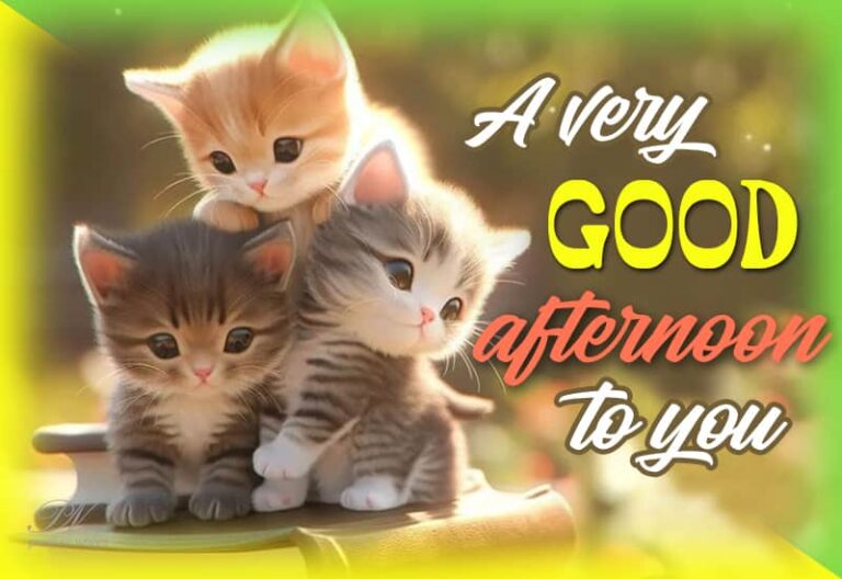 Good Afternoon Wishes