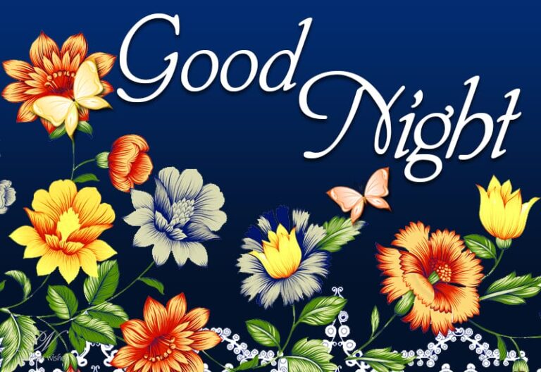Good Night Wishes