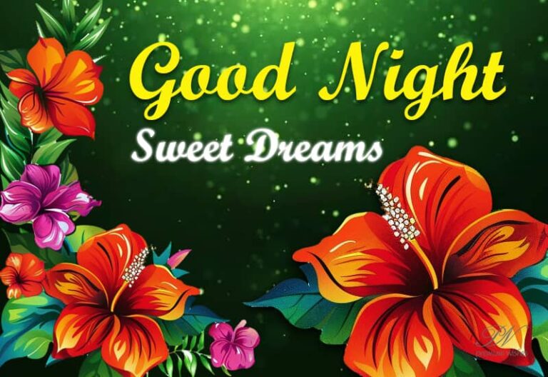 Good Night Wishes