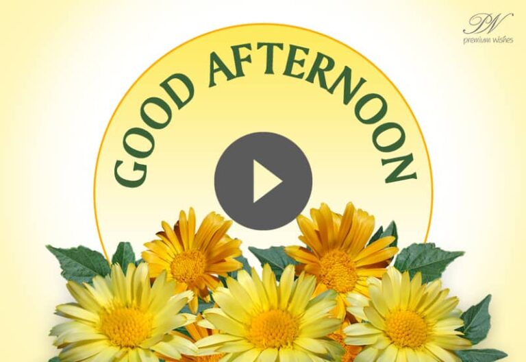 Good Afternoon Messages with Yellow Flowers – Beautiful Yellow Flowers with Good Afternoon Wishes